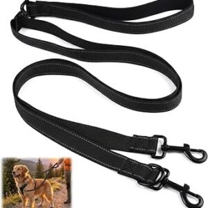 Two Point Control Dog Lead 1.25m Double Ended Lead for Dogs