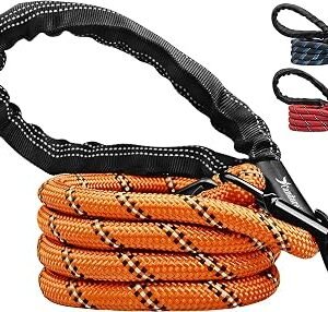 Candure Dog Lead, 5 FT, Orange, Soft Padded, Anti Slip, Reflective, Perfect for Small, Medium & Large Dogs